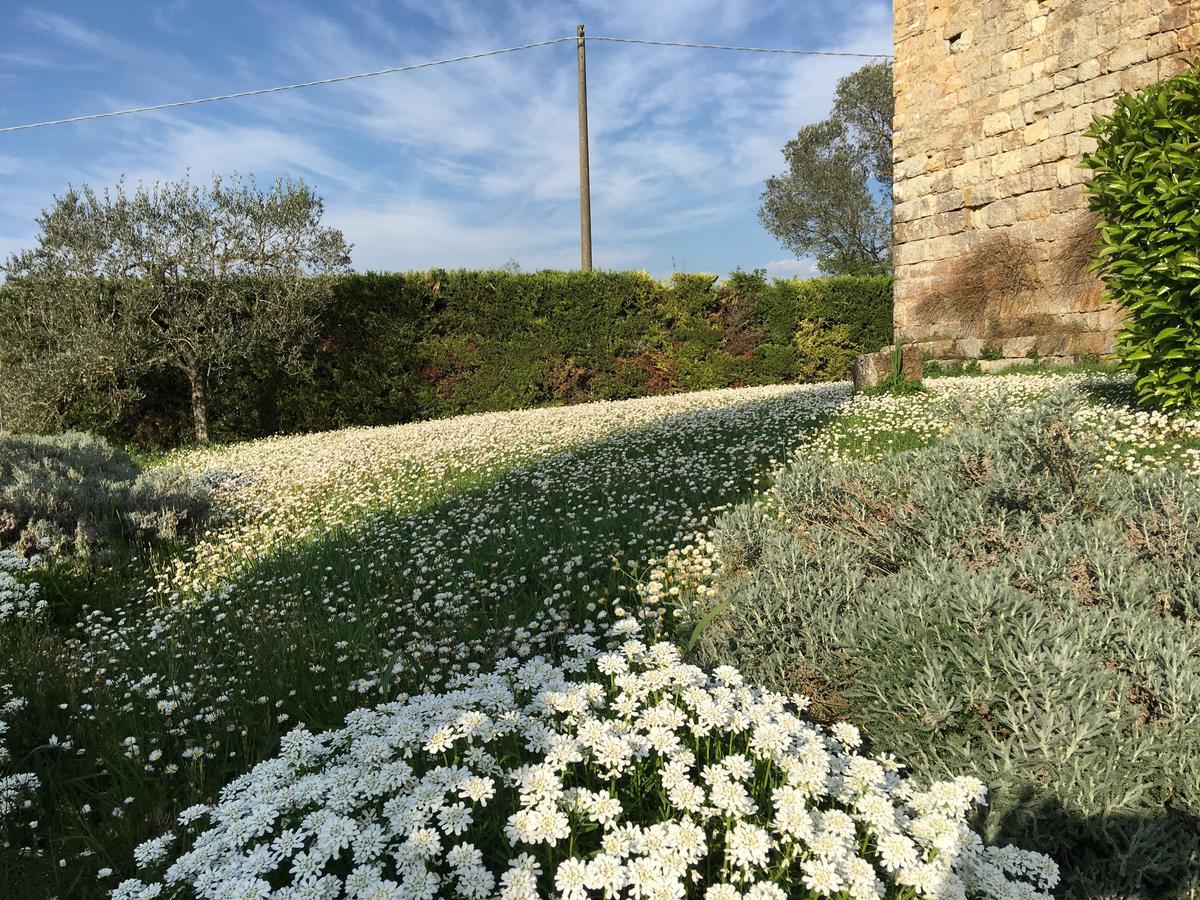 Torre Di Ponzano Guest House Barberino Val d'Elsa Exterior photo